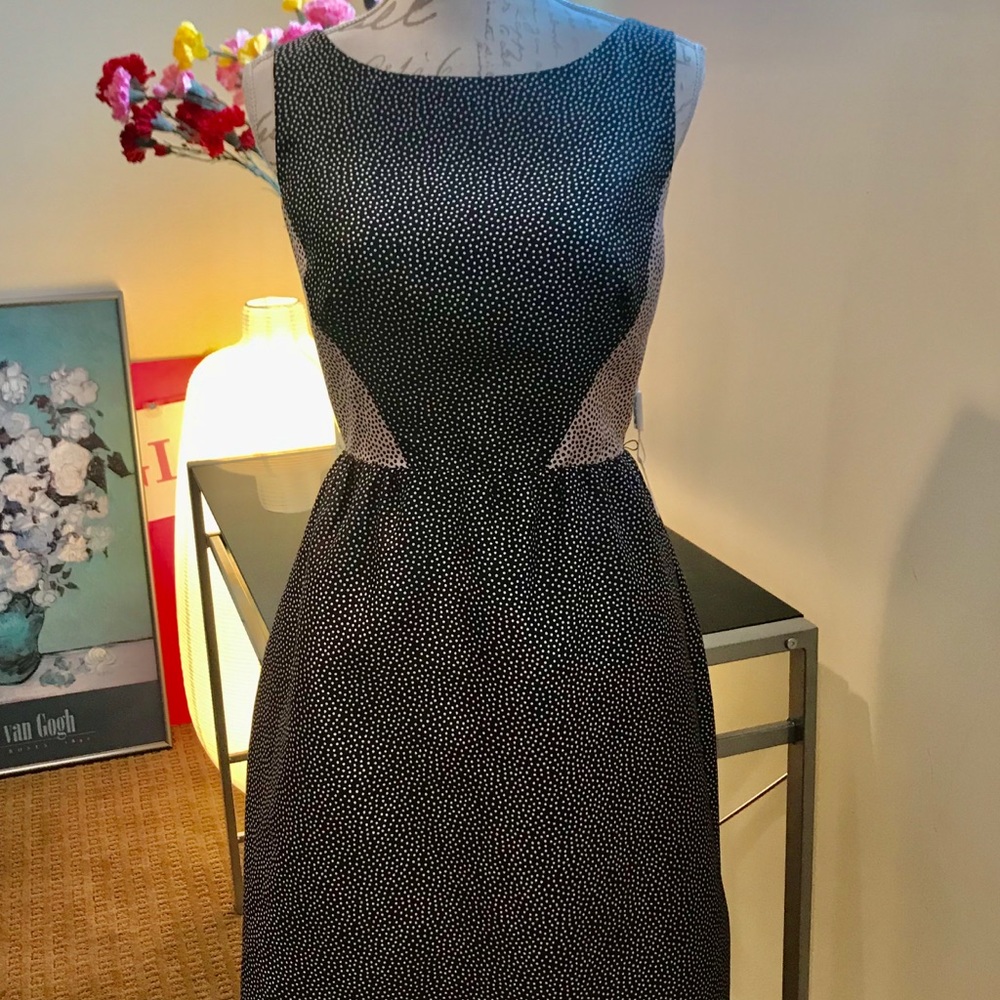 Brand New Polka Dot Vintage dress. Sz 8